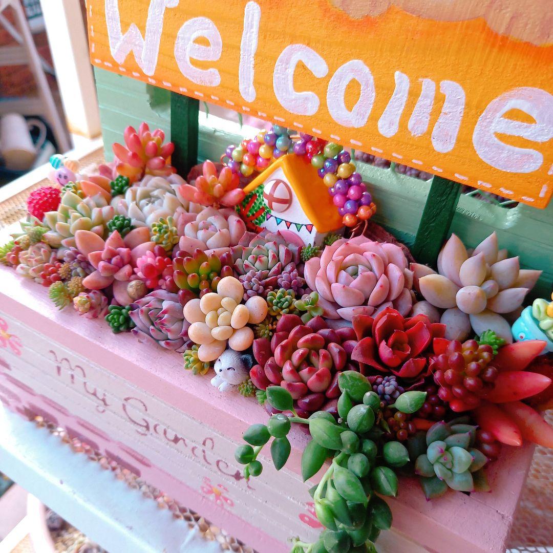 ❤️専用❤️多肉植物❤️そのまま飾れる寄せ植え❤️