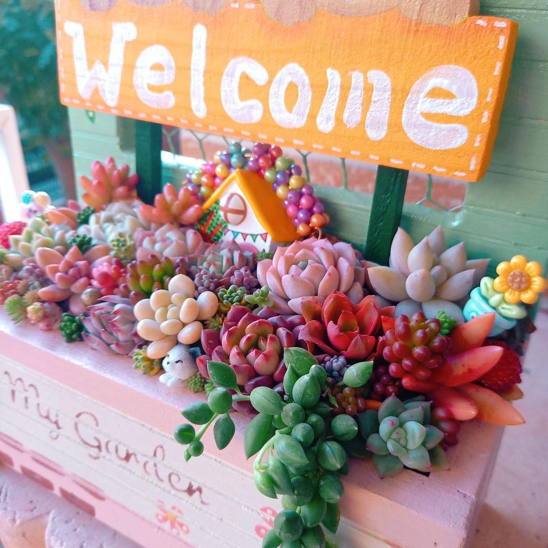 ❤️専用❤️多肉植物❤️そのまま飾れる寄せ植え❤️
