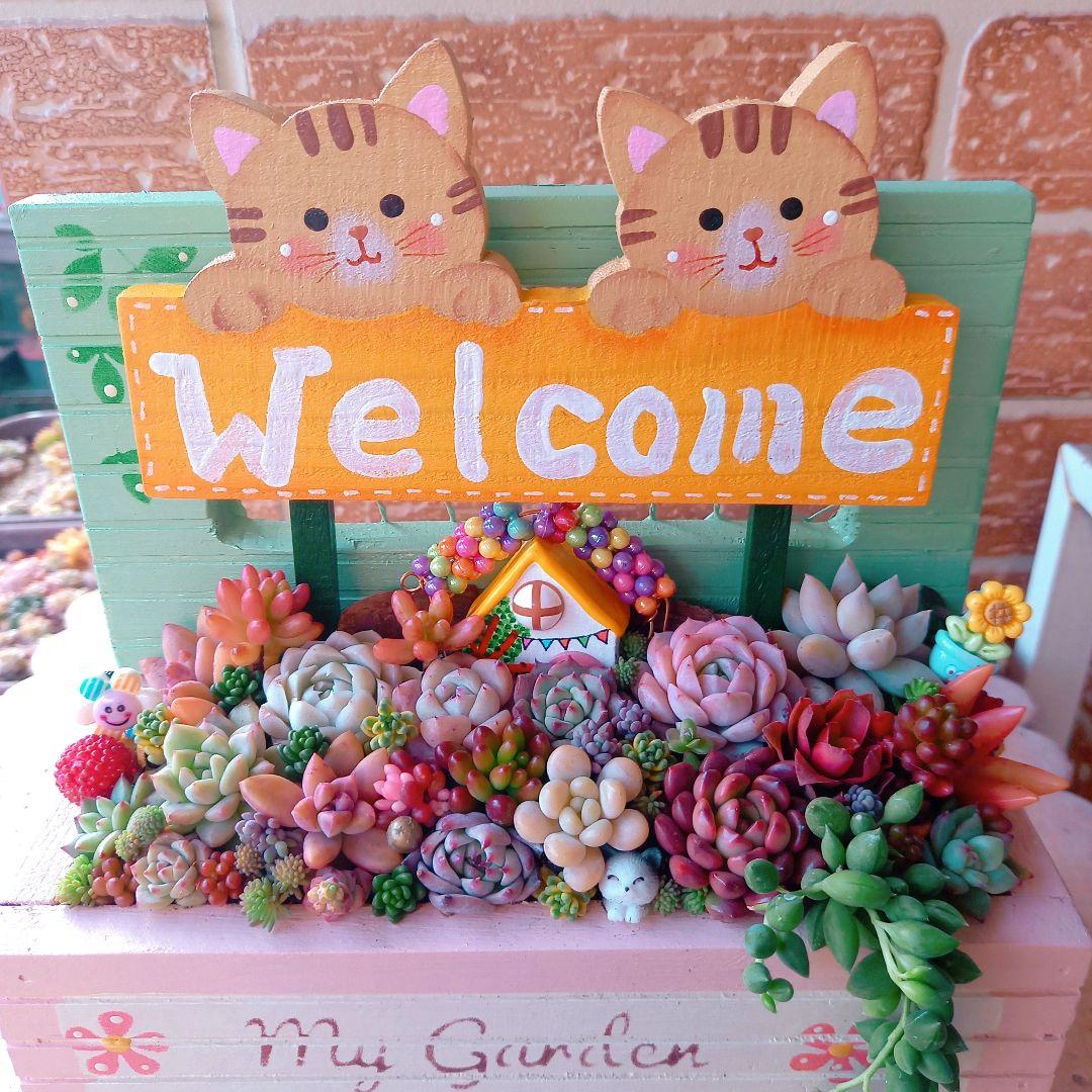 ❤️専用❤️多肉植物❤️そのまま飾れる寄せ植え❤️