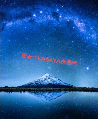 輝★☆KAGAYA 古兵器 武具　刀装具　日本刀