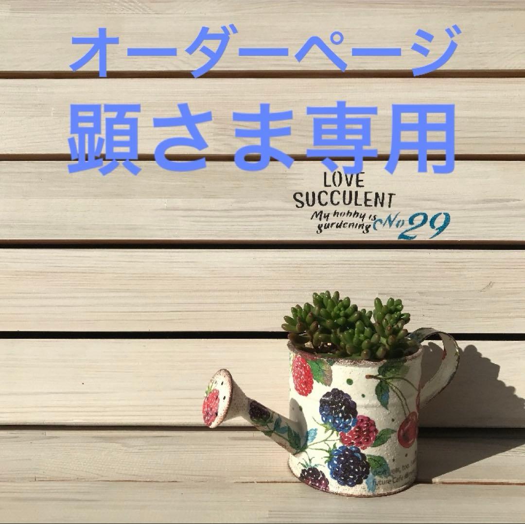 顕さま参考画像