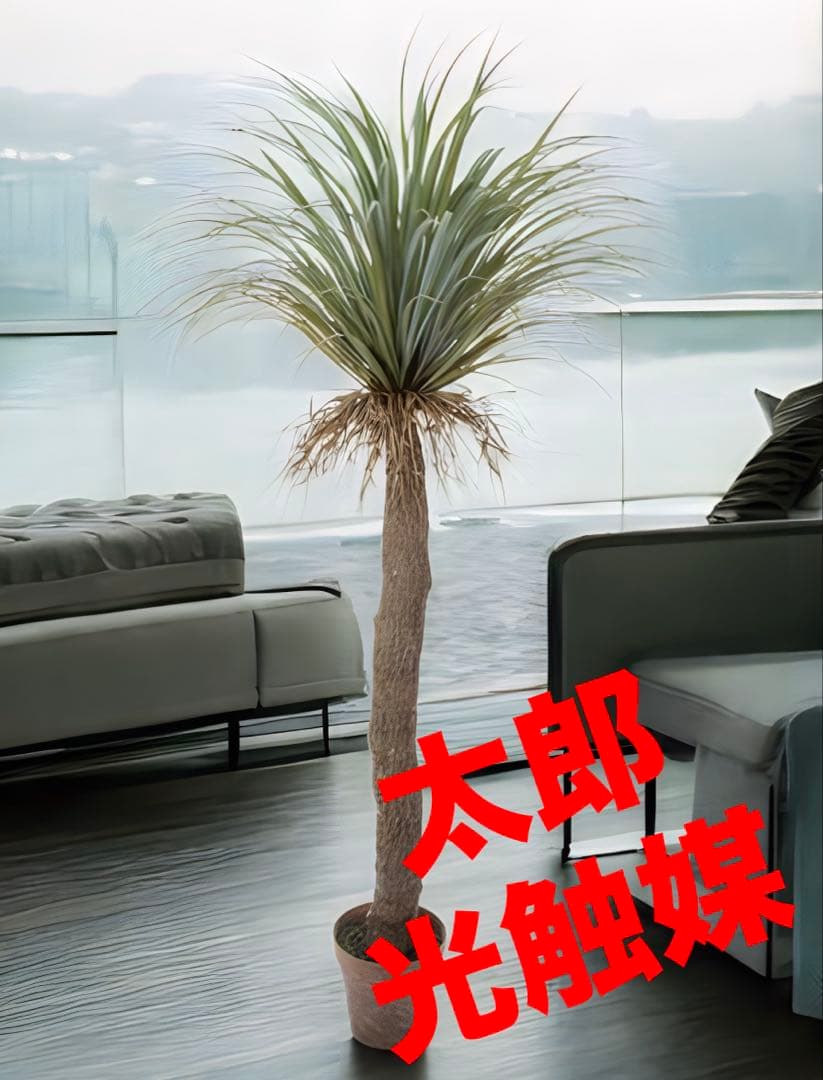光触媒　人工観葉植物　ウォールグリーン　フェイクグリーン　ユッカロストラータ