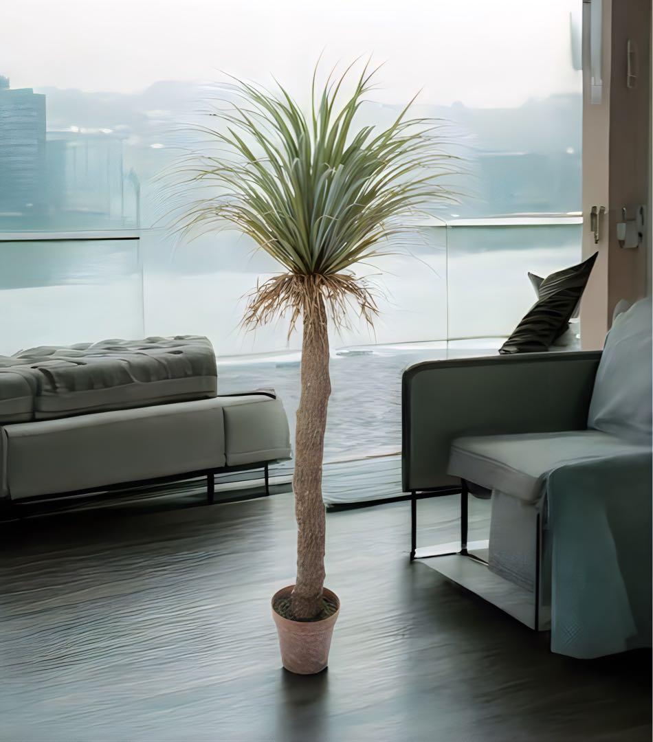 光触媒　人工観葉植物　ウォールグリーン　フェイクグリーン　ユッカロストラータ