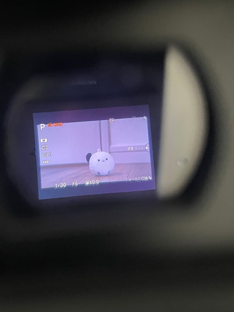 ハンディカム レンズ交換式 デジタルHDビデオカメラ NEX-VG10