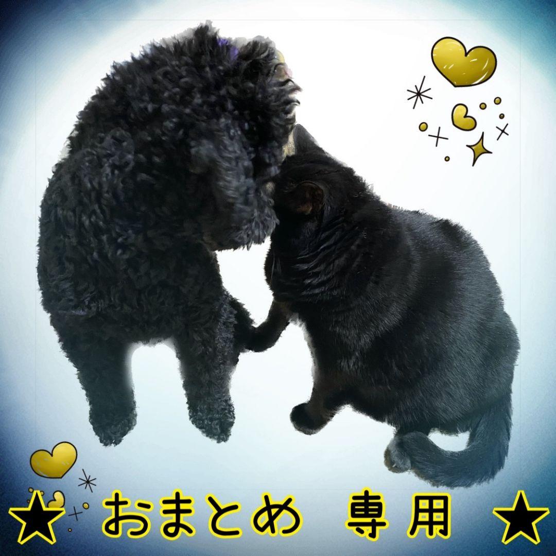 ⭐ おまとめ 専用 ⭐♥