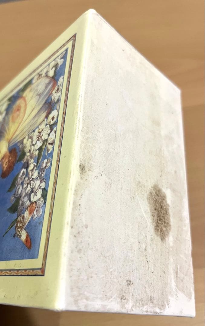 No151 希少　洋書 絵本 フラワーフェアリーズ 花の妖精