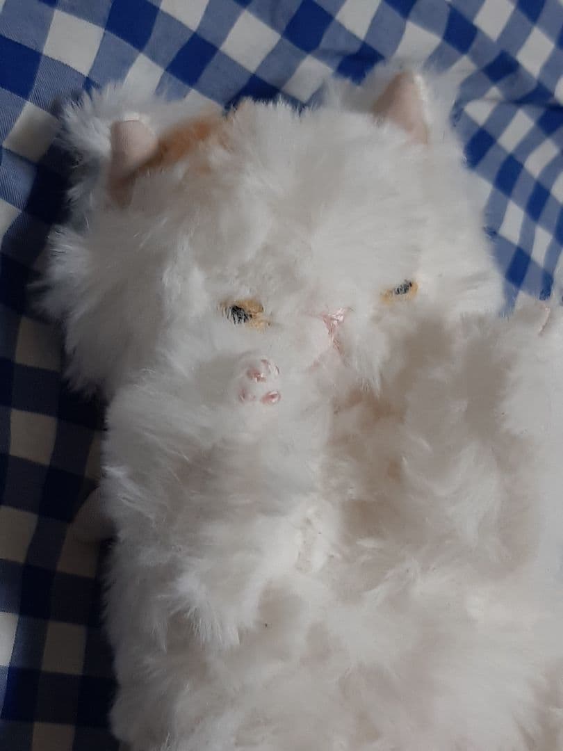 さてさん　ぬいぐるみ作家　さて猫ちゃん