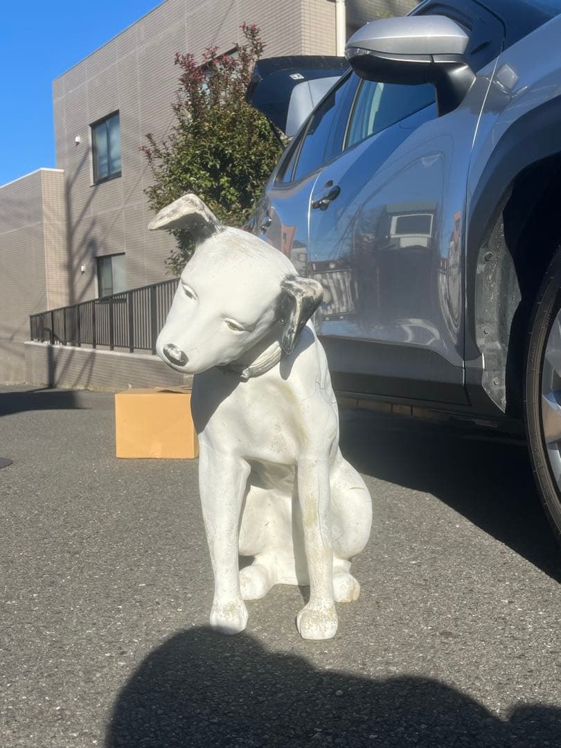 希少！Victor 犬　ニッパー君 当時物店頭用 約70cm