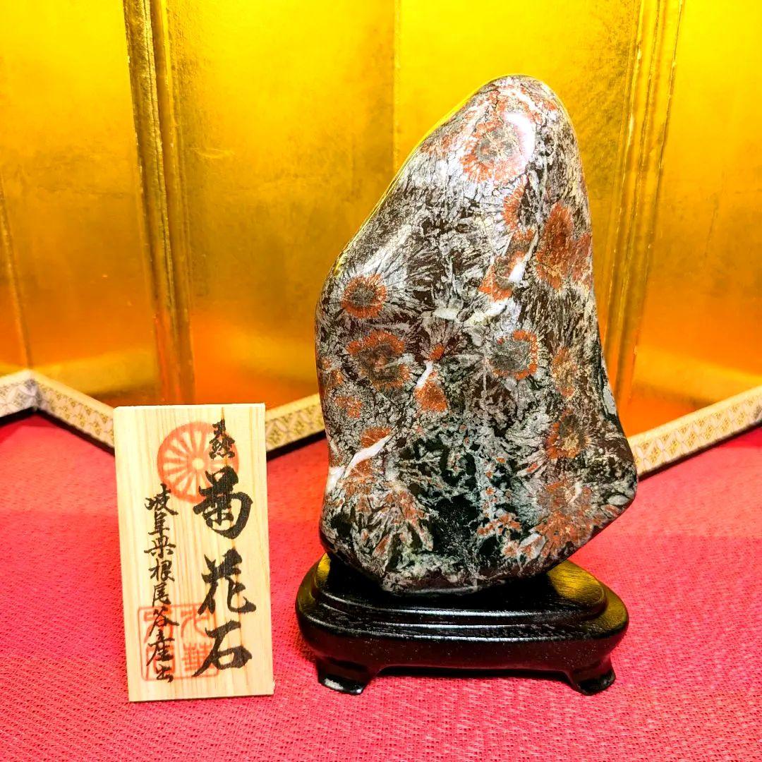 菊花石 岐阜県根尾谷産1.2㌔ 鑑賞石 観賞石 水石 盆石 天然石 置物