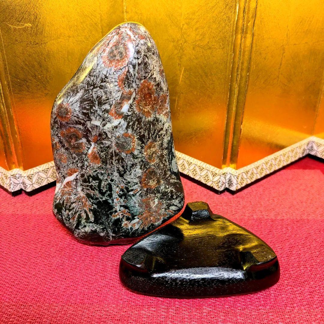 菊花石 岐阜県根尾谷産1.2㌔ 鑑賞石 観賞石 水石 盆石 天然石 置物