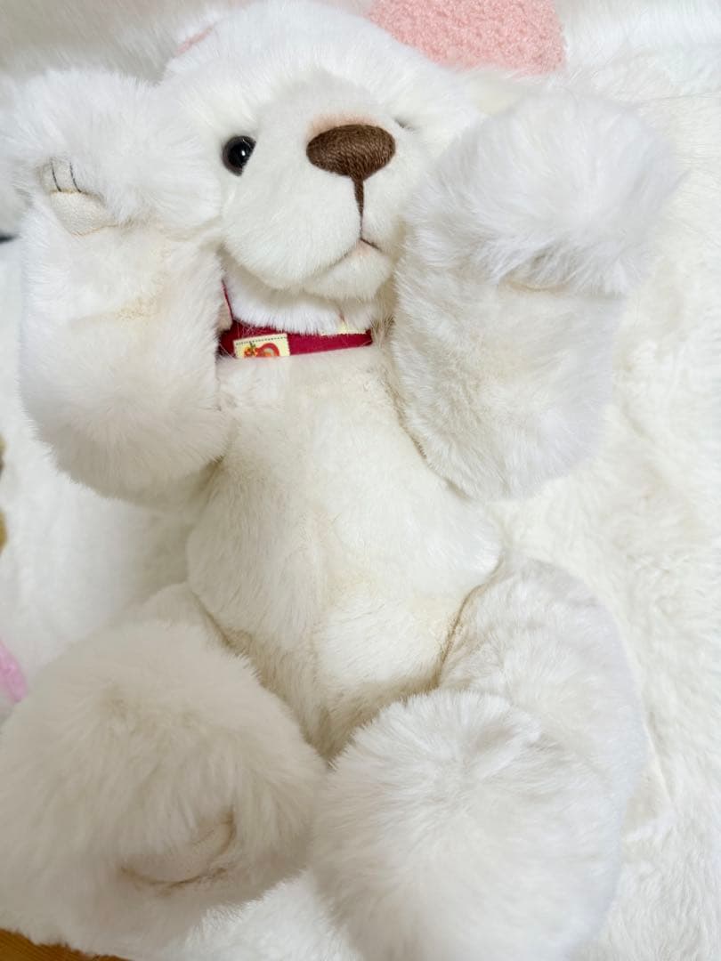 ☆ポンコポンコ☆ ☆チャーリーベアーズ☆ Spirit ☆美品♪