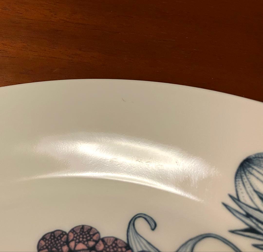 ARABIA Runo spring アラビア ルノ スプリング プレート 2