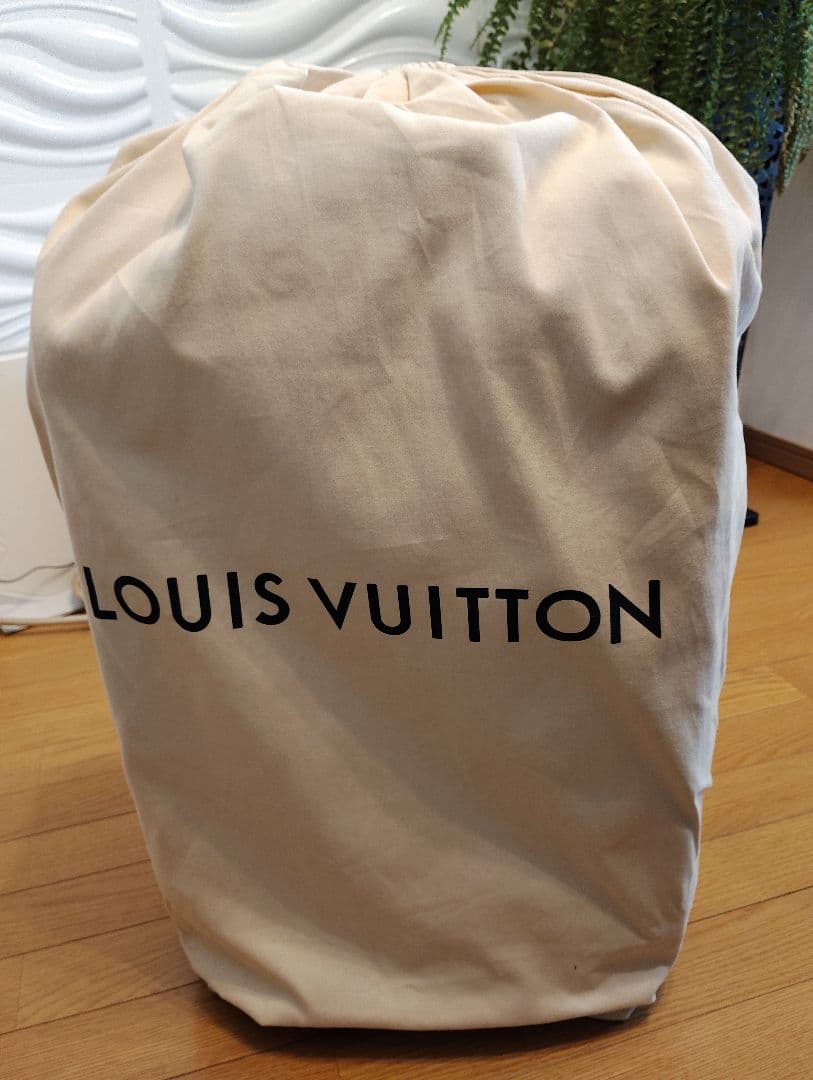 Louis Vuitton ペガス55 機内OK 美品☆