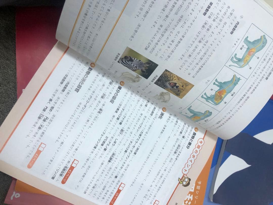 四谷大塚5年予習シリーズ国算理社/漢字　上下　中古　2023年版