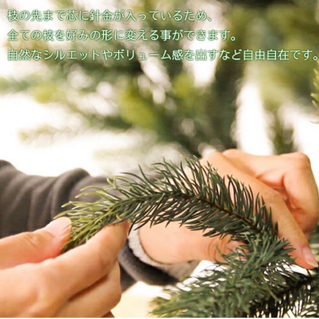 シュヴァルツヴァルトクリスマスツリー １２０cm