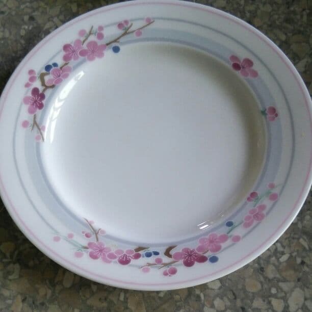 NIKKOのお皿２枚お値下げしました。