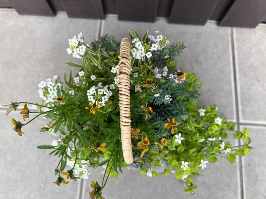 寄せ植え　花■みつばちと花畑