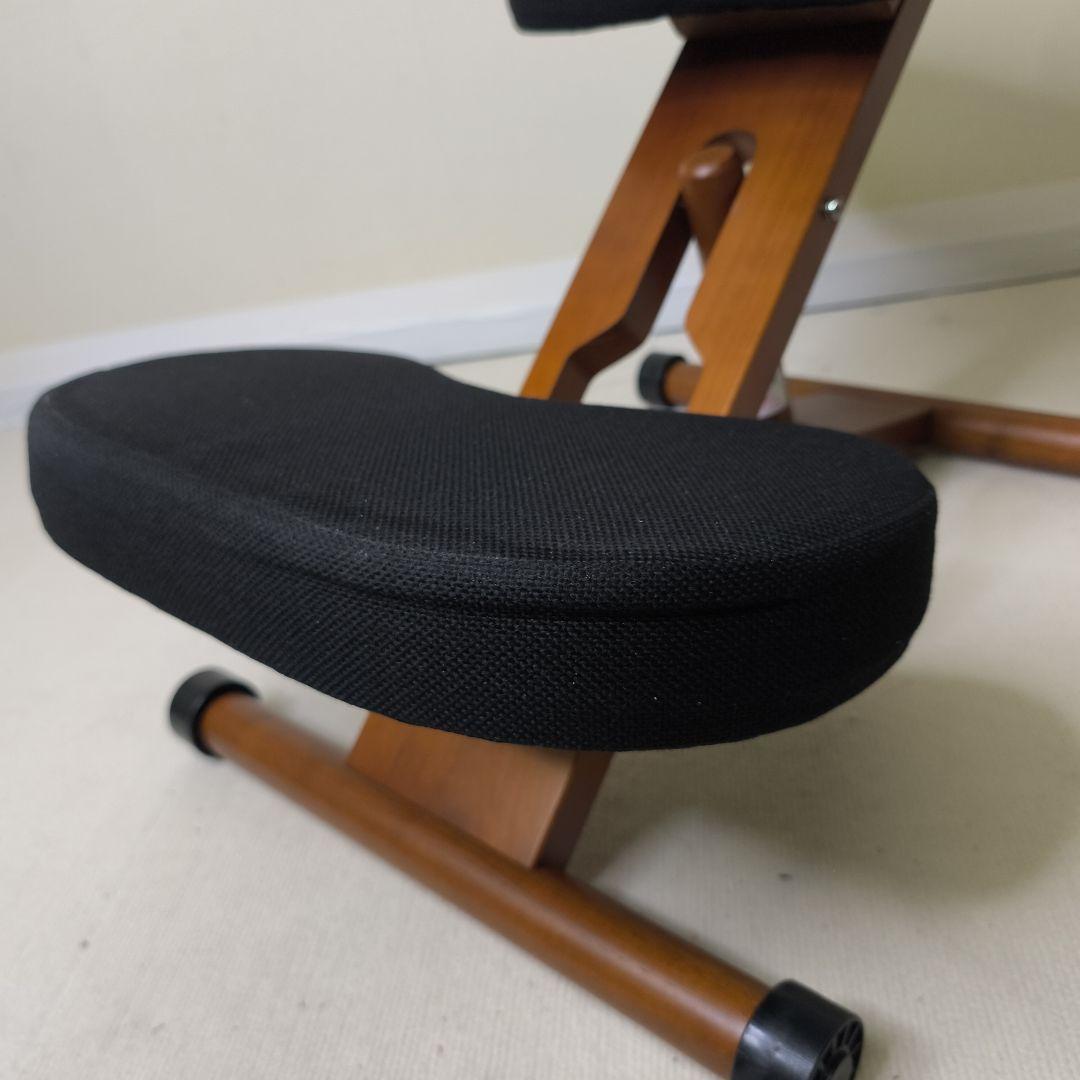 宮武製作所　 プロポーションチェア バランスチェア ブラック　カバー付き 黒