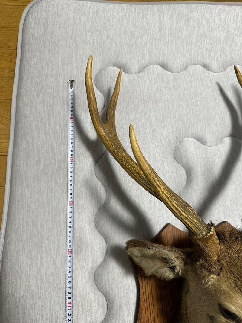 ハンティングトロフィー 鹿剥製壁掛けインテリア