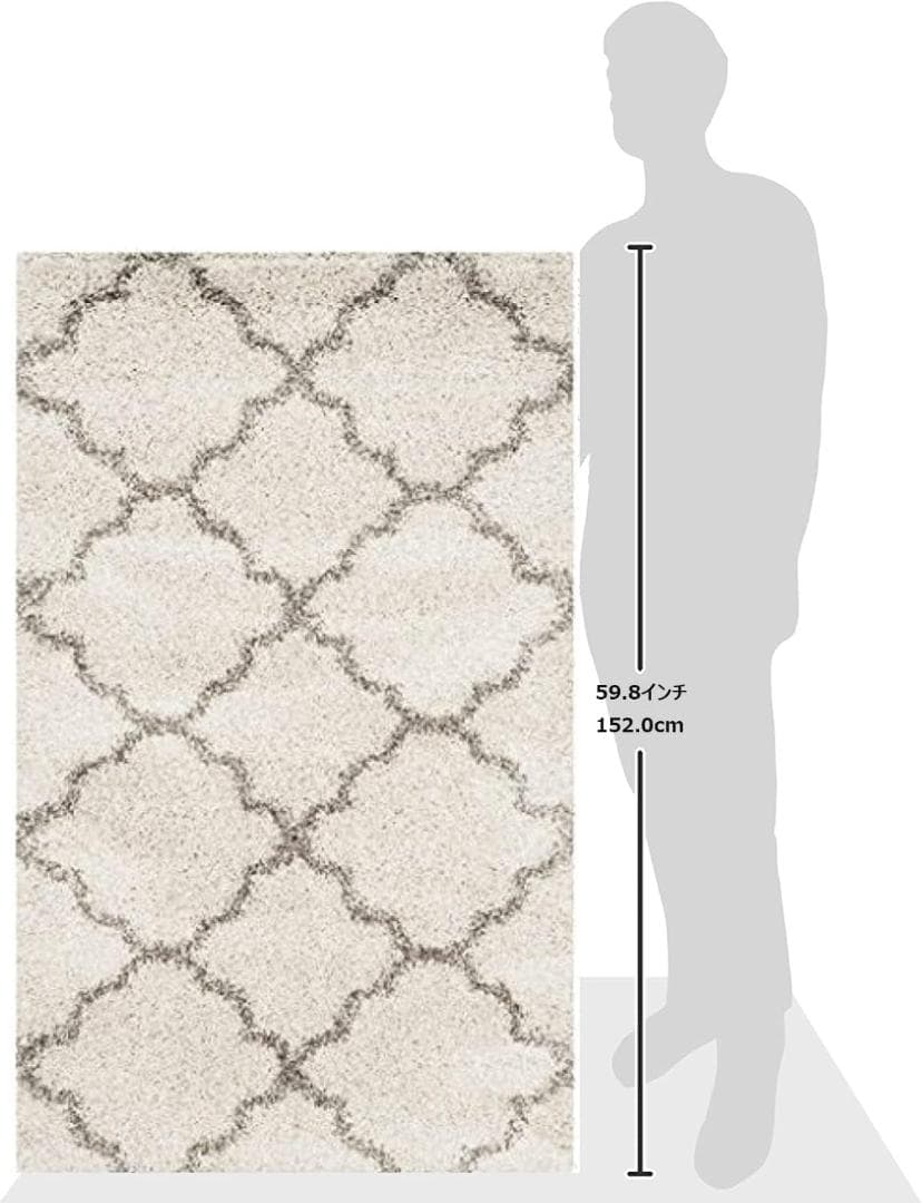 SAFAVIEH (サファビア) Hudson Shag Collection