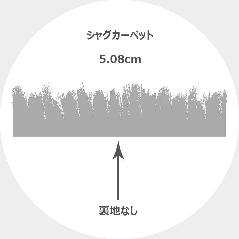 SAFAVIEH (サファビア) Hudson Shag Collection