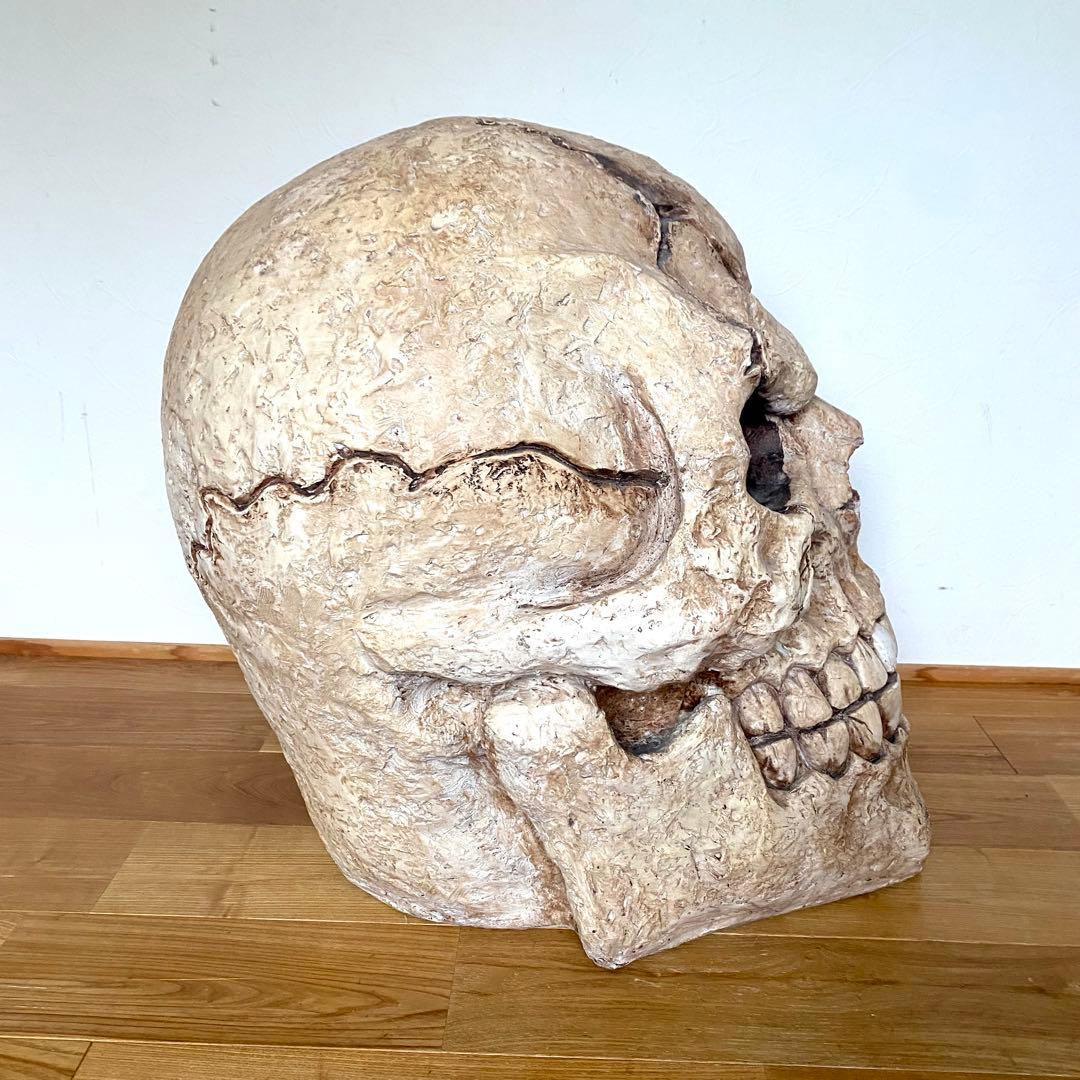 超大型 目が光る 喋る スカル ドクロ 髑髏 高さ約56cm 置物 オブジェ