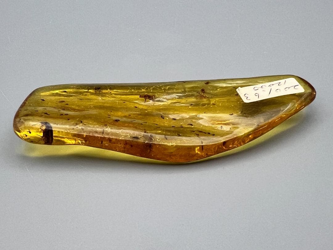 虫入り琥珀　蜘蛛　蚊　大量小さい虫内包　バルティックアンバー　バルト海沿岸地域産