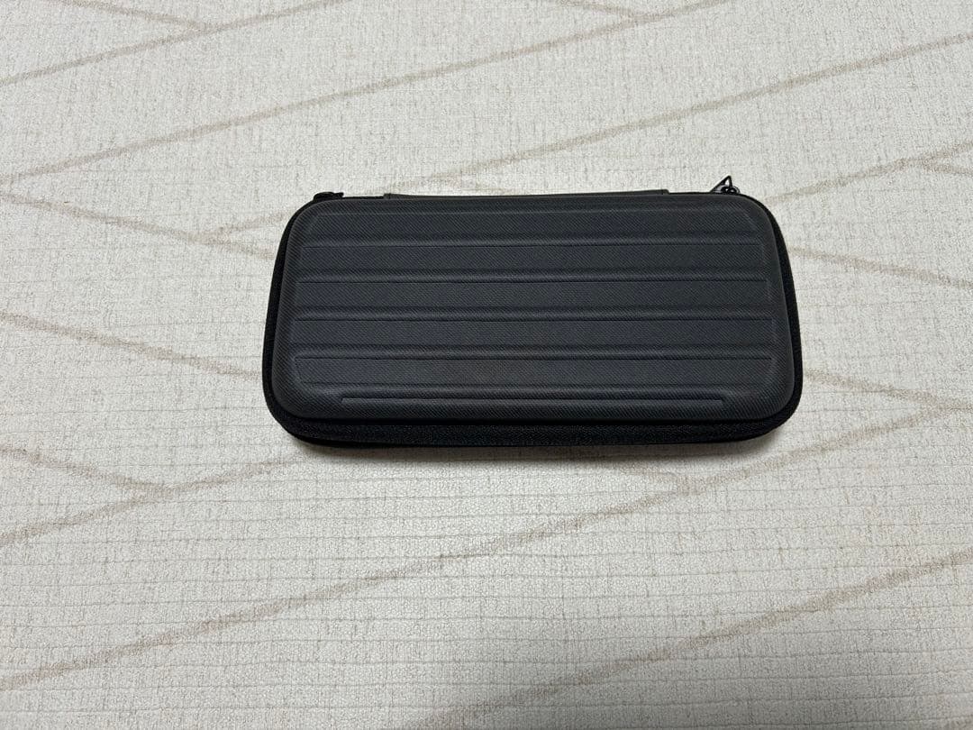 Nintendo Switch Lite ディアルガパルキア　ポケモン　ケース付