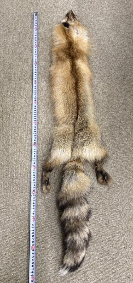 高品質！ レッドフォックスの毛皮　１点もの