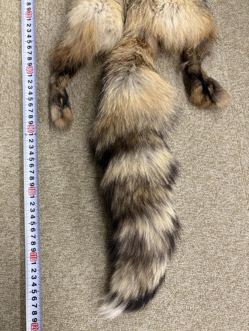 高品質！ レッドフォックスの毛皮　１点もの