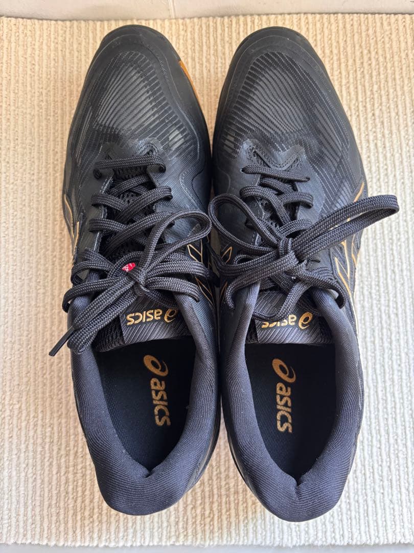 【daifuki】アシックス バレーボールシューズ ROTE JAPAN