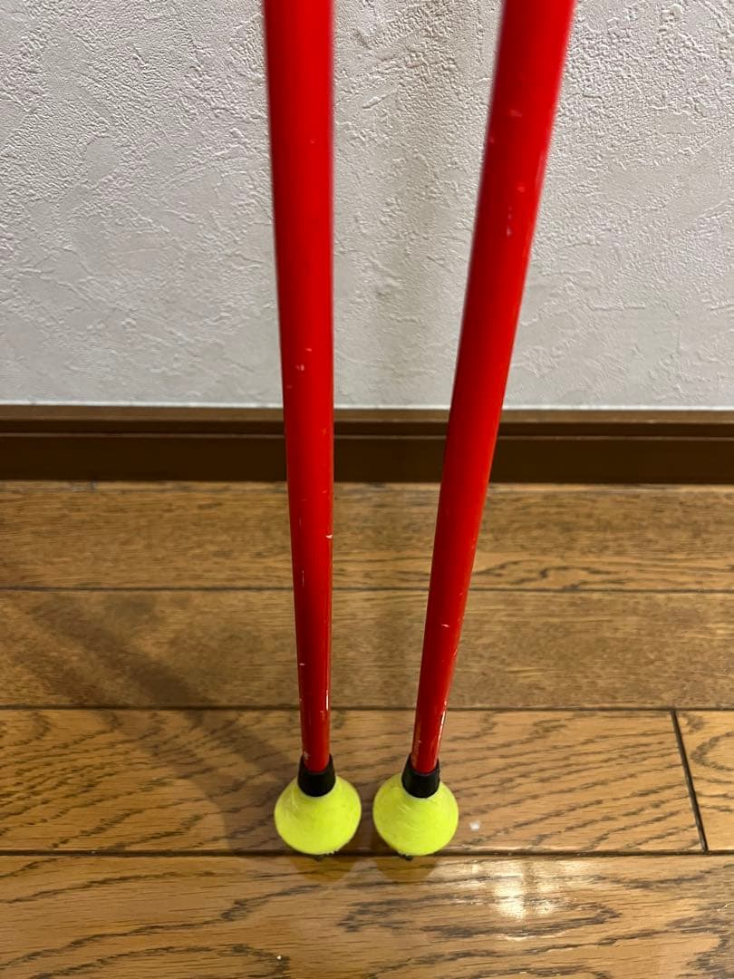 スキー LEKI WCR TBS GS 3D 125cm