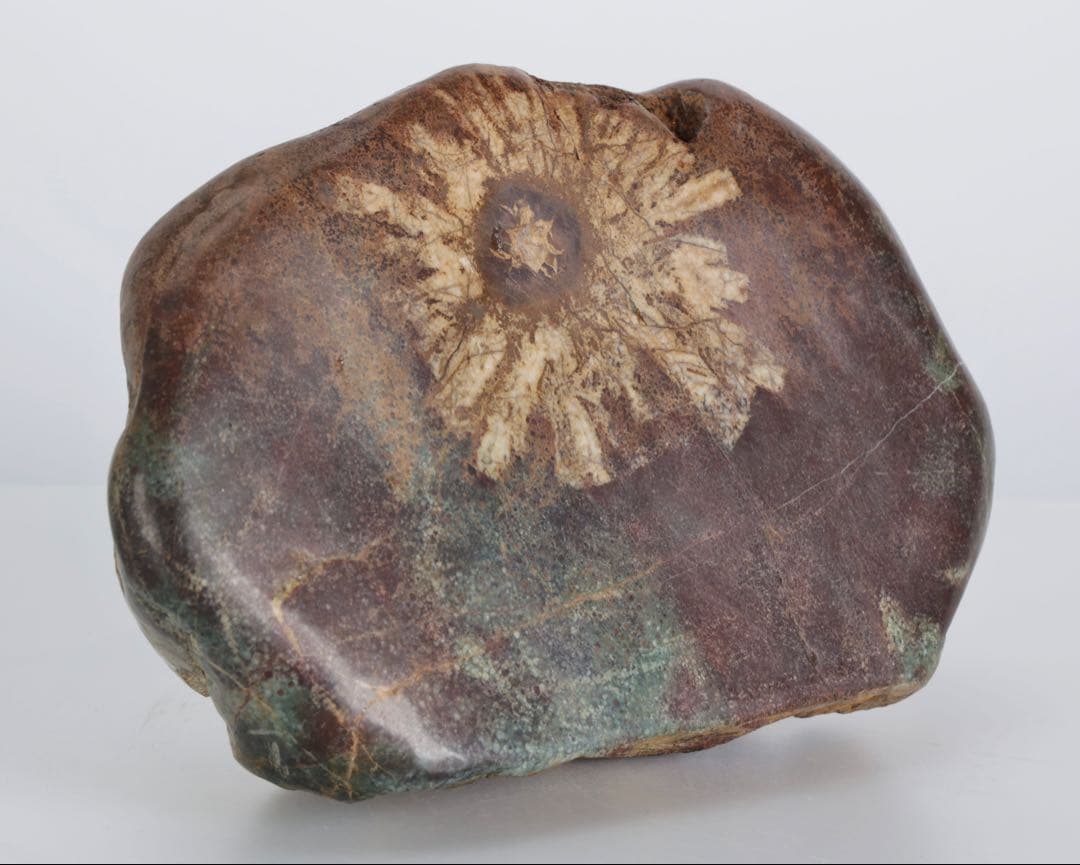 菊花石 菊紋石 一輪1.25kg 鑑賞石 原石 自然石 美石 水石 盆石 飾石