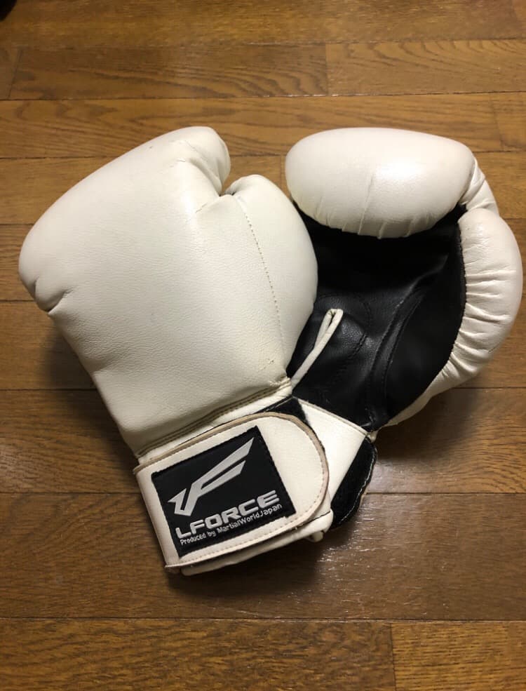 twins winning windy ツインズ キックボクシング 格闘技セット