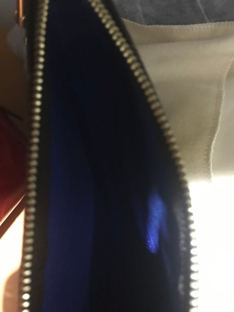 ルイヴィトン　ヴィヴィエンヌ　モノグラム　付属品なし