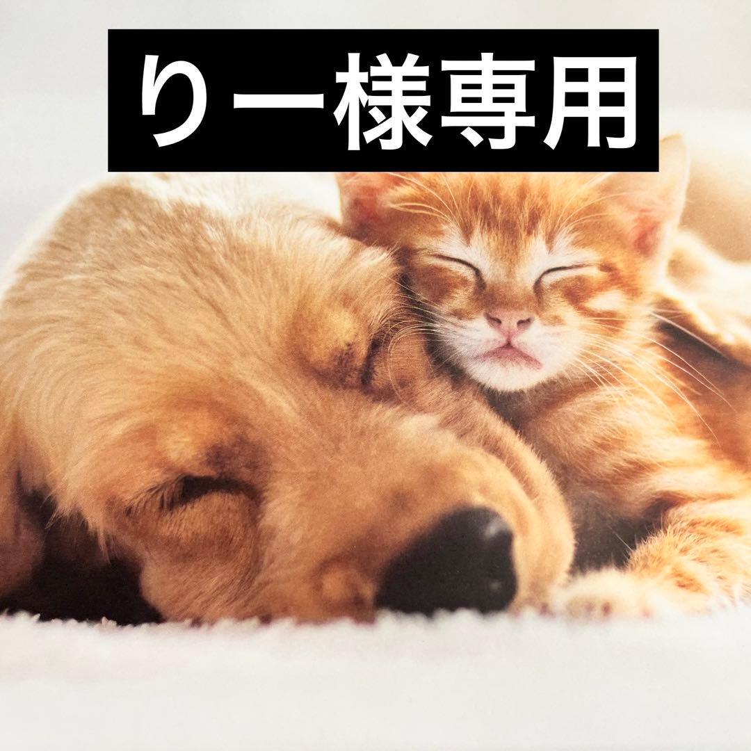 りー