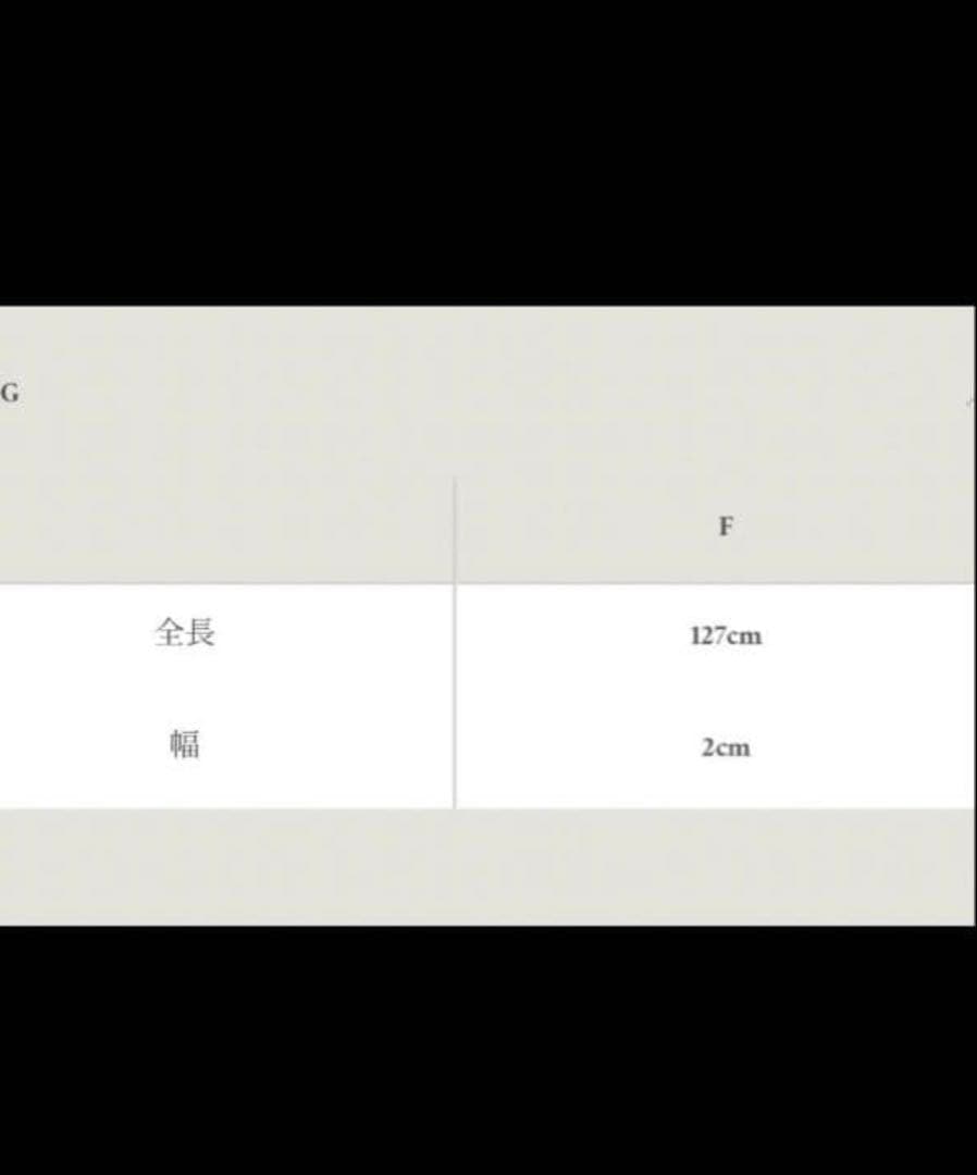 shiun/SLIDE BUCKLE MESH BELT 新品未使用品