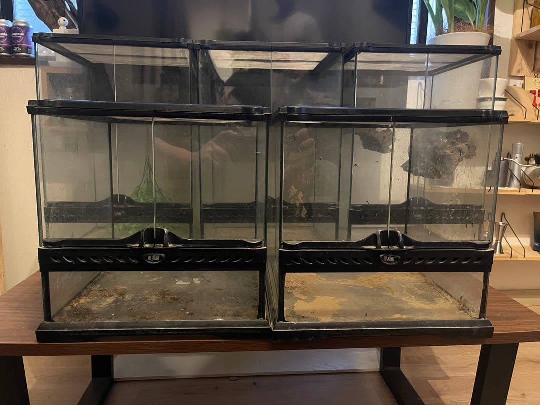 【引き取り限定】グラステラリウム3045×3、3030×2