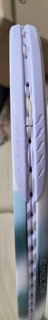 【美品✨数回使用】 PRINCE 硬式テニスラケット エンブレム110