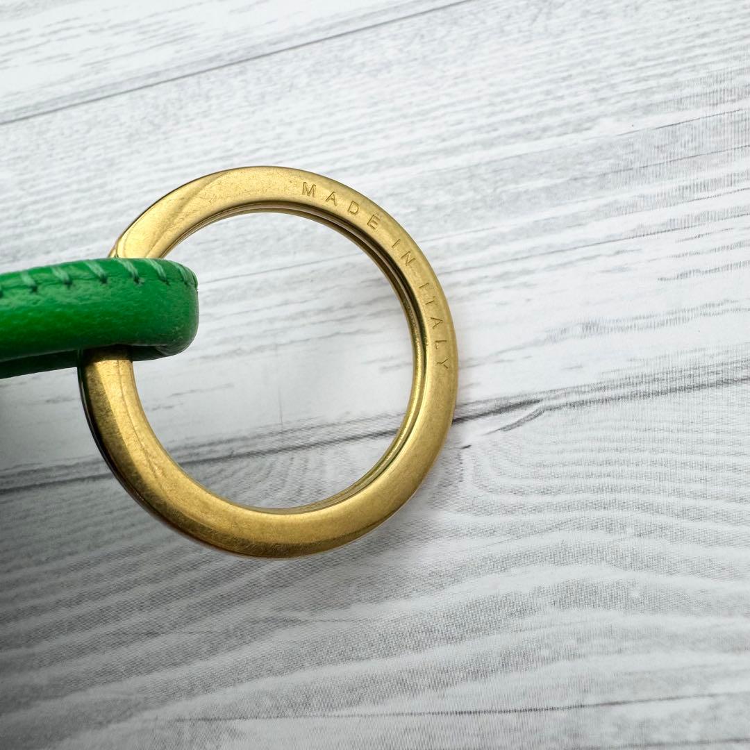 【美品】ボッテガヴェネタ トライアングル ツイスト キーホルダー パラキート