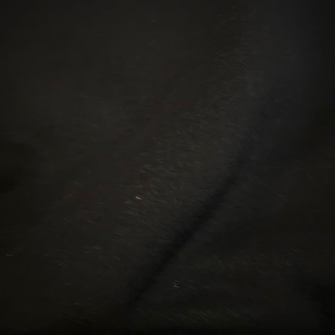 【XL】ユニクロ×エンジニアドガーメンツ パフテックショートブルゾン 海外限定