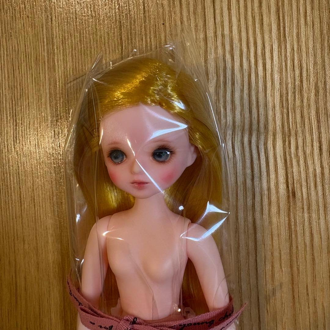 DOLCE 1/6 Pudding Doll ゴルディ