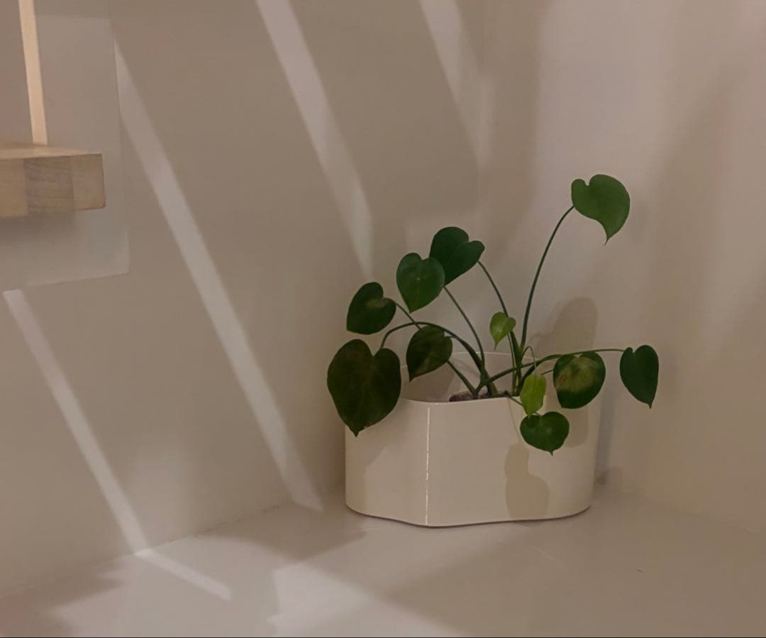 【レア】リーヒティエ プラント ポット ホワイト／Aタイプ（大）　アアルト