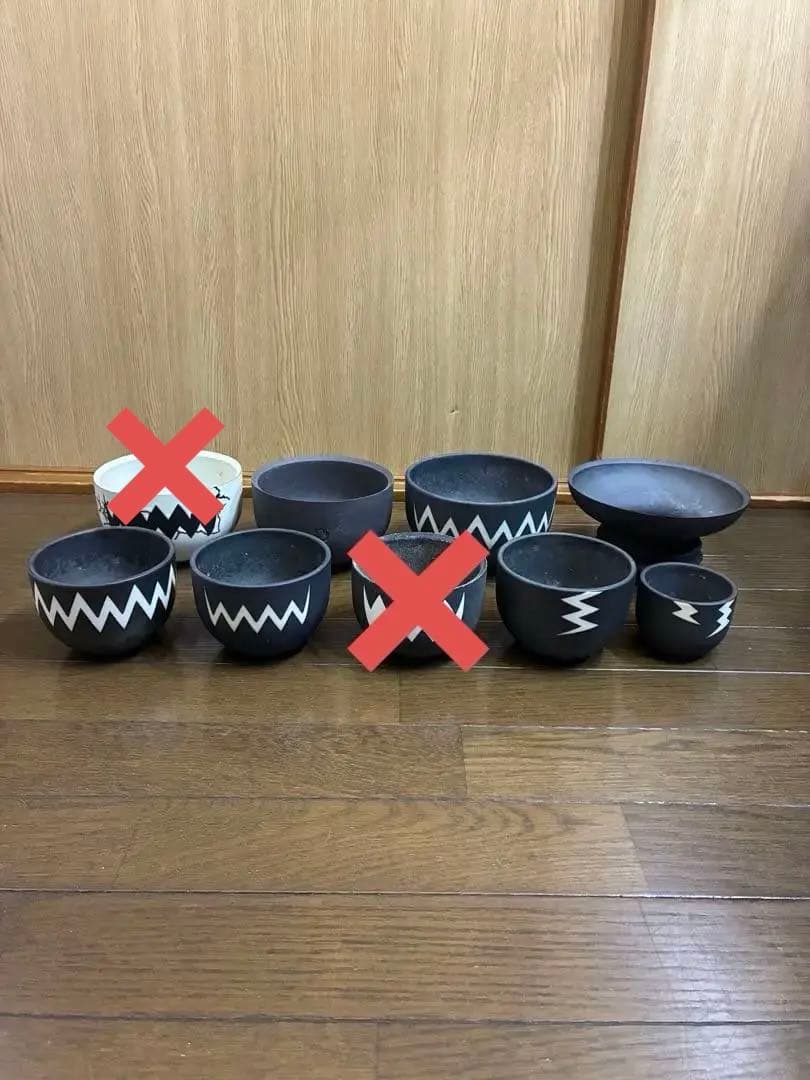 本日値下げ！！　valiem バリエム　鉢　検）パキプス　グラキリス アガベ