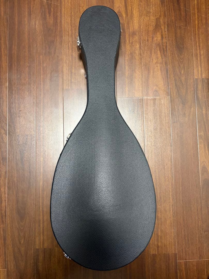 ✴︎超美品✴︎SUZUKIマスターハンド・マンドラ　MD-10 美品ハードケース付き