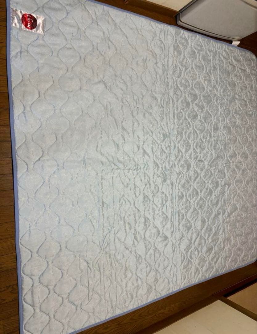 ☆美品☆アライヴン インベル リチャージセンテナリアン スポーツリチャージ