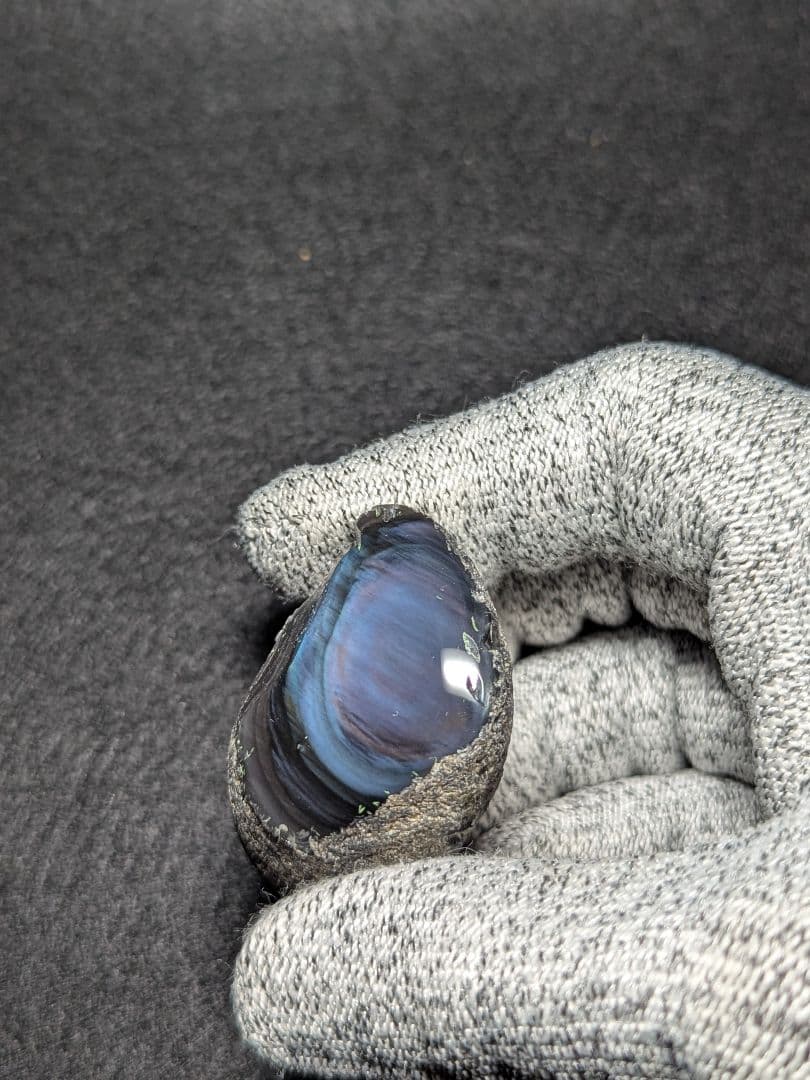 【研磨品】十勝石玲瓏　北海道産レインボーオブシディアン　十勝石　玲瓏石