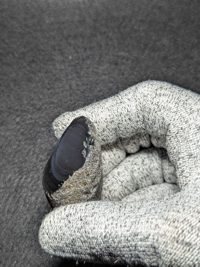 【研磨品】十勝石玲瓏　北海道産レインボーオブシディアン　十勝石　玲瓏石