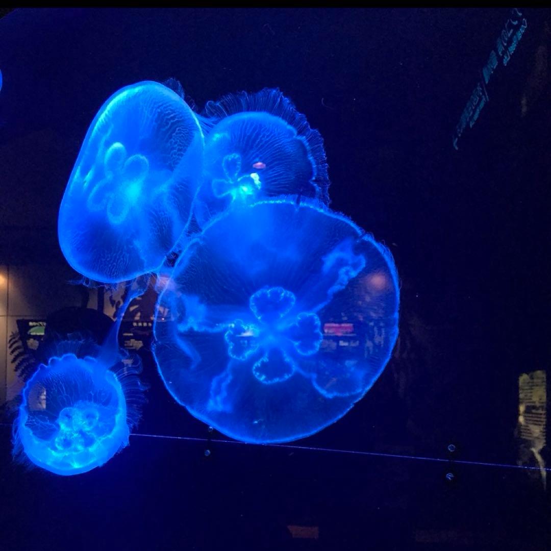 pt900 ダイヤモンド　中折れ2センチ