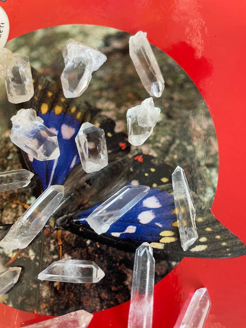 【国産鉱物】乙女鉱山産　水晶たくさんセット　ラスト